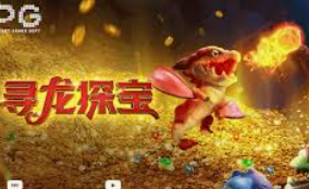 云开足球平台2024最新版